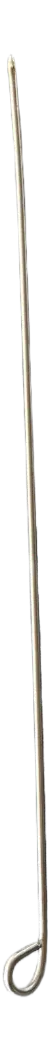 Sprint